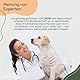 DOG1 Probiotika für Hunde – Darmflora aufbauen mit Präbiotika & Probiotika – Natürlich bei Durchfall, Grasfressen & Verdauungsproblemen – Tierärztlich entwickelt – Made in Germany – 100 g