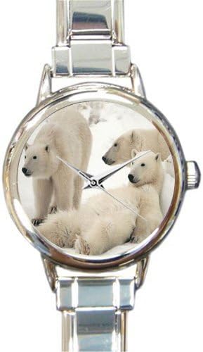 Sister/Mother/Girlfriend Gift Polar Bears Italian Charm Women's Watch