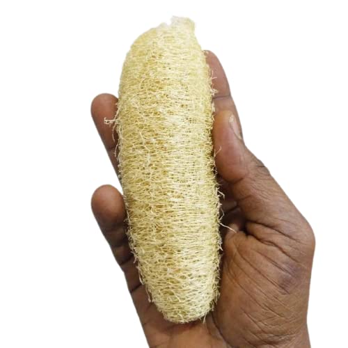 RIMI Natural Body Scrubber Loofah for Bathing , Skin Friendly, Light Weight, Men, Women for Bathing Loofah Use (Set Of 05 Piece)
