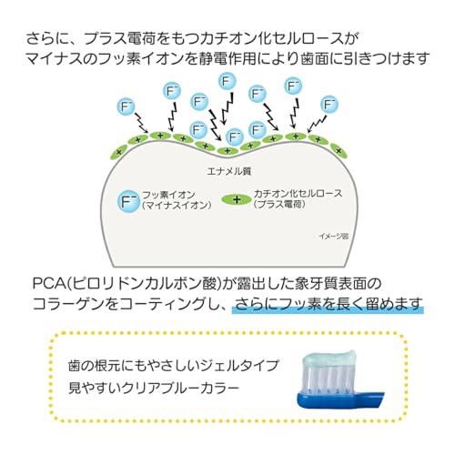 LION チェックアップ ルートケアα の商品画像 4