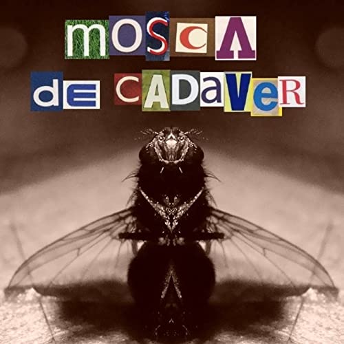 Mosca de Cadaver Titelbild