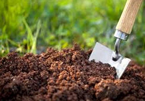 VEDHAHI Pot Mix Ready to use Potting Soil for Plants Organic Soil Manure for Outdoor Indoor Garden Plant Filler 5 kg (B08KDF3XGN) Amazon Price History, Amazon Price Tracker