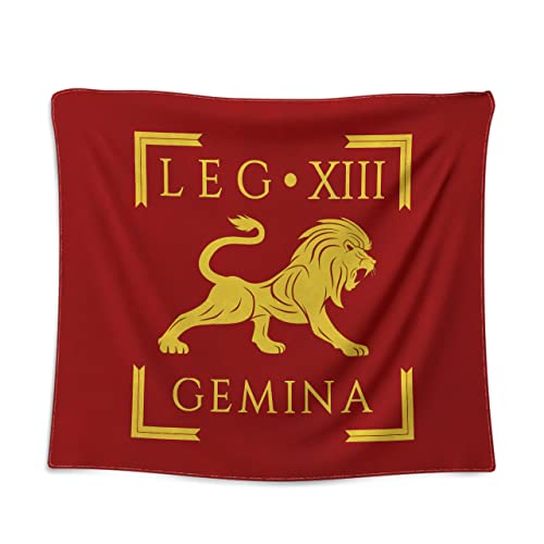Bandera de la Legión Romana de 100 cm x 125 cm: decora paredes vacías con estilo histórico