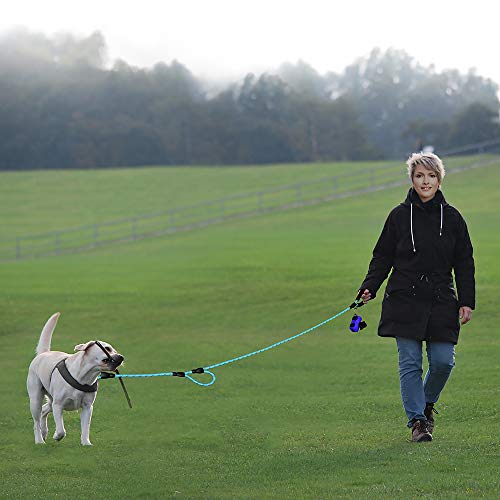 Rope Dog Leash 6Ft Long,Traffic Padded Two Handle,Heavy Duty,Reflective Double Handles Lead For Control Safety Training,Leashes For Large Dogs Or Medium Dogs,Dual Handles Leads(Light Blue) #TOP3