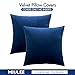 MIULEE Velvet Throw Pillow Covers 18x18 Inch, Pack of 2 - Dark Blue, Super Soft Decorative Square Cushion Cases Modern Luxury Home Decor for Sofa, Couch, Bed, Chair