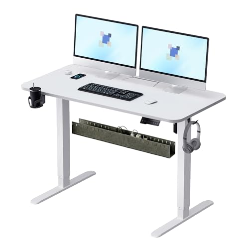Image of Electric Standing Desk,48x24 Inch Adjustable Height Sit Stand Desk with Cable Management Tray,with Memory Presets Ergonomic Computer Desk for Home Office /Gaming /Workstation,White