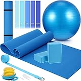 10 Pcs Yoga Starter Kit Include Yoga Mat with Carry Strap, 2 Yoga Blocks, Yoga Strap, Yoga Pilates Ball, 5 Resistance Bands with Air Pump Yoga Mat Set and Kit for Beginners Women and Men (Blue)