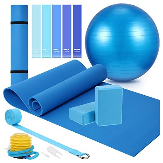 10 Pcs Yoga Starter Kit Include Yoga Mat with Carry Strap, 2 Yoga Blocks, Yoga Strap, Yoga Pilates Ball, 5 Resistance Bands with Air Pump Yoga Mat Set and Kit for Beginners Women and Men (Blue)