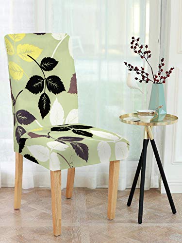 Image of Cortina Dining Chair Slipcovers | Protection Chair Covers | Leaf Print, Removable, Washable | Universal Fit Super Soft Stretchy Polyester Spandex | Living Room, Kitchen, Party | Pack of 1, Pista