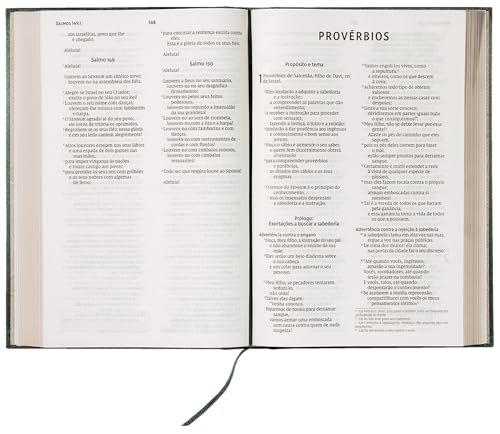 Bíblia Slim NVI, Letra Grande - Imagem 5