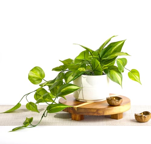 Kurrajong Farmhouse Dark Green Fake pothos | Fake Plant for Shelf Decor | Artificial Trailing Ivy Plant with 5' Wide Ceramic Pot | Faux pothos | Feaux Pothos | Bathroom and Kitchen Decor