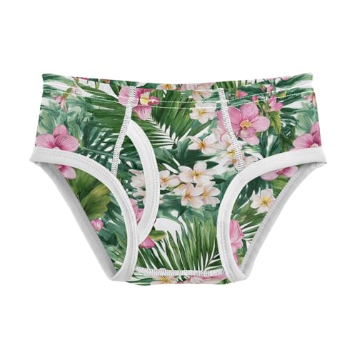 Wusikd Tropical Flowers Boys' Underwear Cotton Watercolor Boys Briefs Soft Toddler Underwear 2T