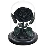 Rose Flower Gifts for Women,Mothers Day Flowers Gifts for Mom Wife from Daughter Son Husband,Birthday Gifts for Women Best Friend Her Girlfriend,Glass Rose Grandma Mom Gifts for Mothers Day(Black)