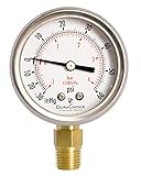 DuraChoice 2" Oil Filled Vacuum Pressure Gauge - Stainless Steel Case, Brass, 1/4" NPT, Lower Mount