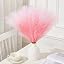 Z Gradient Light Pink