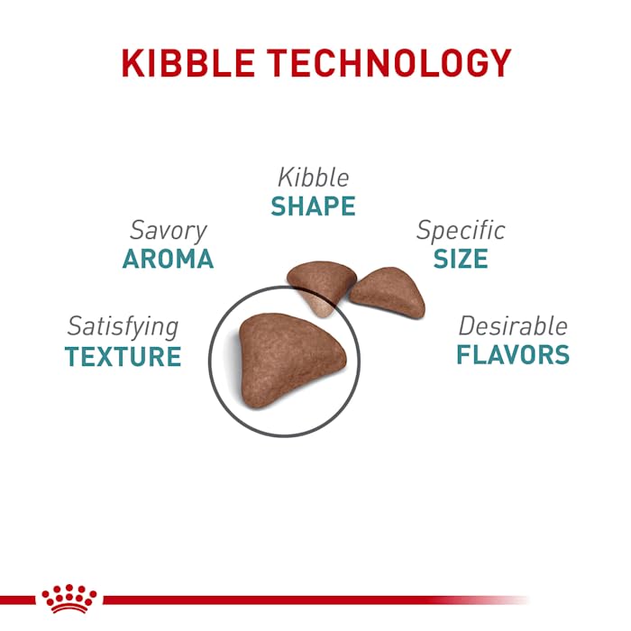 Royal Canin Hairball Care Dry Cat Food, 14 lb bag - Image 6