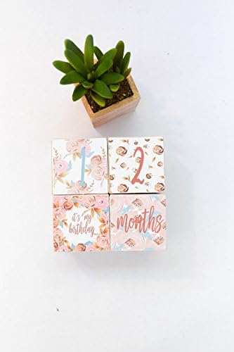Gold Glitz Floral Baby Milestone Wooden Blocks - Baby Shower Gift - Newborn Photography
