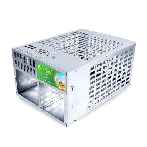 lY~߂ dw ^lY~p ߊlp ߊl ݔ a lY~߂胏i lY~߂ ˂݂Ƃ 쏜 ėp\ ȒPݒu