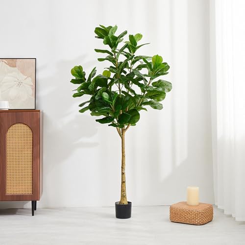 ウンベラータ 観葉植物 170cm」の人気商品一覧 | 安い商品を通販サイト