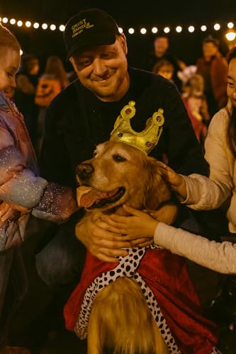 Disfraz para Perro King Halloween Talla Large miniatura 6
