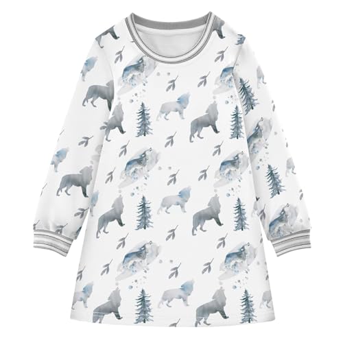 Girls Long Sleeve Dress Winter Dresses Toddler Girl Outfits Fashion Clothes