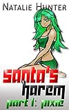 Santa's Harem: Pixie