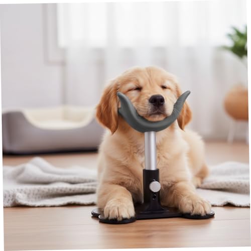 Support de toilettage pour chien réglable hauteur 14,5 cm - 2
