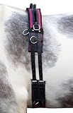 Vestibilità regolabile HKM Canvas Cintura Navy/Rosa Passione Purosangue