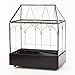 Large Tall Glass Plant Terrarium – House Succulent Terrarium Kit with Lip and Tray Glass Greenhouse Terrarium for Plant 9.5”X5.7”X11.4”
