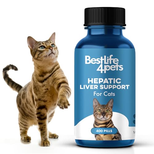 Maladie du foie chez les chats Les 15 meilleurs produits comparés Wild Explained