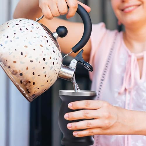 Image of Beruth 8oz Yerba Mate Cup Set, Double Wall 304 Stainless Steel Mate Gourd, Heat Insulated Mug & Anti-Scalding Design, Includes 2 Bombillas & Cleaning Brush (Black)