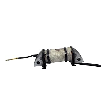 Amazon.com: RMSTATOR Replacement Stator Source Coil for