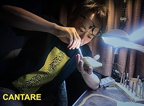 Amazon.co.jp: カンターレオカリーナ EXシリーズ 4C 黒陶 ※特別CD