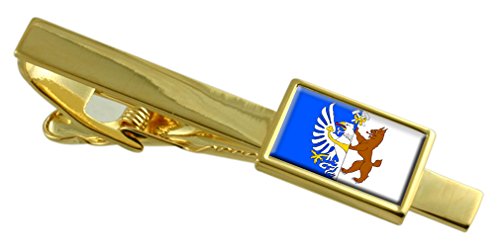 Clip de corbata de Kladno República Checa de oro para eventos institucionales