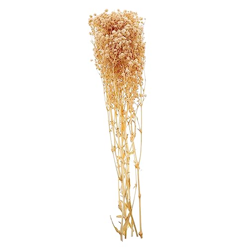 Ramo de flores secas OUNONA Gypsophila blanco decorativo