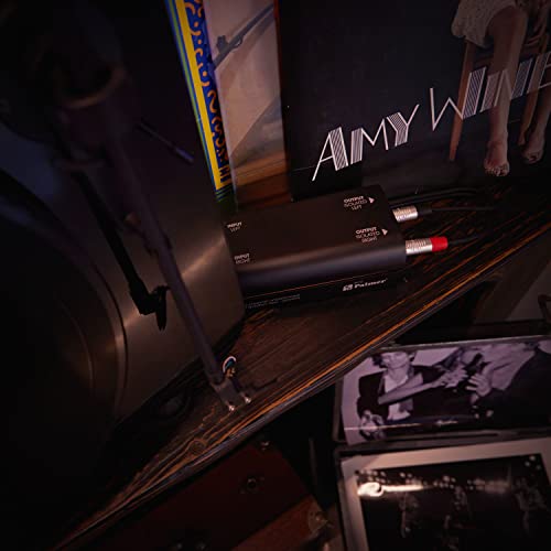 Palmer RIVER enz - Passive 2-Kanal Line Isolation Box, unsymmetrisch, schwarz