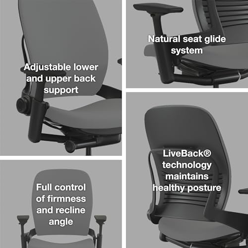 Image of Steelcase Leap Office Chair, Adjustable, Hard Floors, Blue Jay Fabric