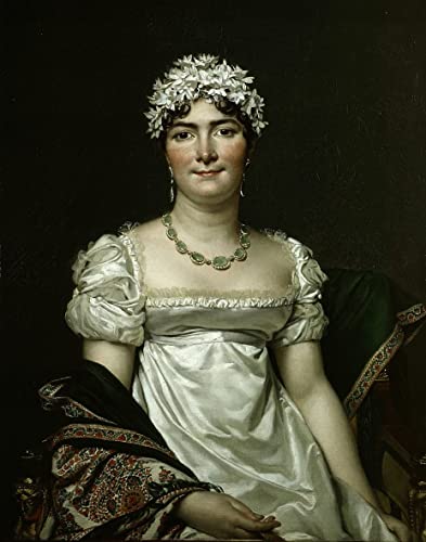 Peinture Murale Comtesse Daru Jacques Louis David : transformez vos murs vides de salon
