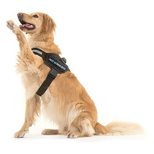 Image of 24x7 eMall Dog Harness Dog Not Gonna Bite Vest Loop Straps and Handle and Adjustable (XL- 28-38 Inch Girth)