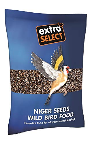 Extra Select Niger Seed Wild Bird Food, 2 kg