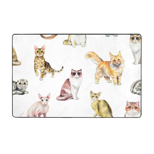 e lR L J[ybg ` O}bg O O~ lC ėp h_j R h hL ӂƎG  DtlO g[Ή 􂦂 ~ߕt Aj ObY LN^[ v[g 100 × 150 Cm