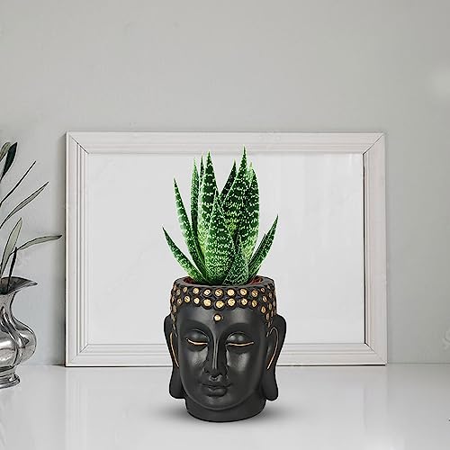Lasaki Buddha 3.5 inch Black Gold Ceramic Pots for Indoor Plants, Planters, Flower, Pots, gamla,Outdoor,Balcony,Home,Round,Garden, Office Decor,Succulent(H - 9 X D - 8.5 cm)(Plants not Included)