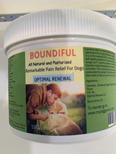 Image of Pain Relief for Dogs