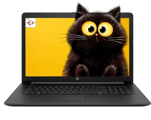 HP Notebook 17.3" HD+ AMD Athlon Silver 3050U 8GB RAM 1TB HDD