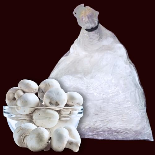 White Button Mushroom Spawn/Seed (200 gm + 2PP Grow Bags) - First Generation White Mycelium Button Mushroom Spawn for Home Garden - Image 2