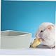 Garneck Keramische Hamster Ecktoilette Und Futternapf - Praktische Eckige Schale Für Kleintiere - Ideale Lösung Für Hamster Meerschweinchen Und Rennmäuse Und Langlebig