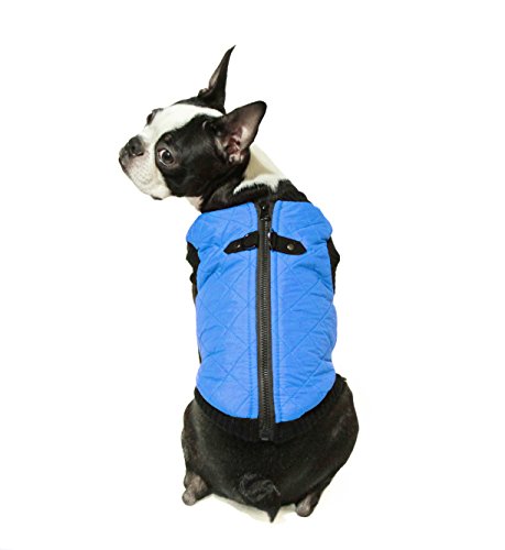 Image of Gooby Fashion Vest Dog Jacket, Blue, Large | Quilted bomber, water-resistant; Stretch knit bottom; Dual D-ring leash; Pain-free zipper guard; Warm