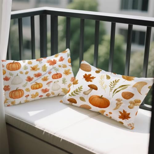 NbVJo[ 30x50 cm 2 Zbg `  Jo[  \t@[ NbV H ʃfUC t  H ~   zc BWbp[ I[V[Y s[P[X \t@  蕨 w-1051