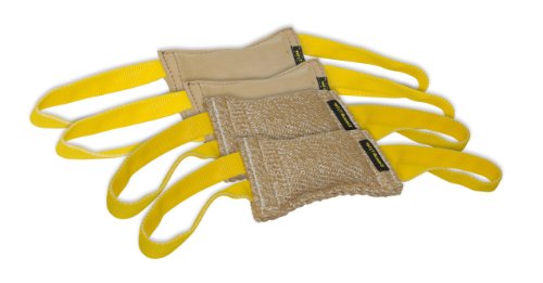 Dean & Tyler Bundle of 4 Tugs for Pets, 2-Jute and 2-Leather, 8-Inch by 4-Inch