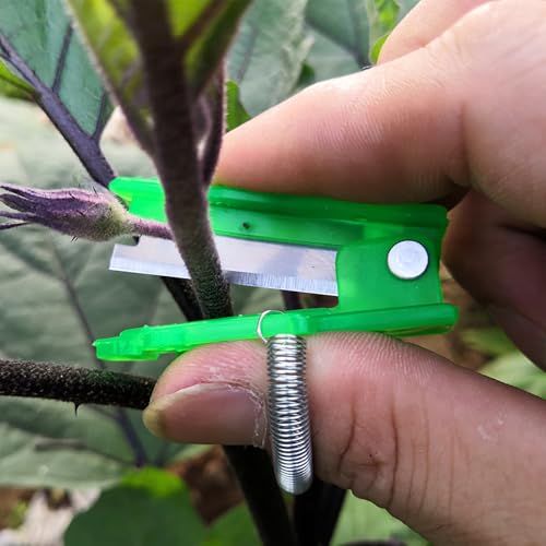 2 tijeras para pulgar para cosecha de frutas miniatura 3
